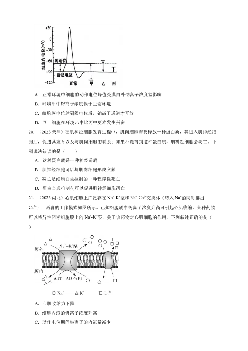 专题16神经调节_生物真题汇总_&radic;近三年（2023-2025）高考生物真题分专项精编_真题分专项汇编
