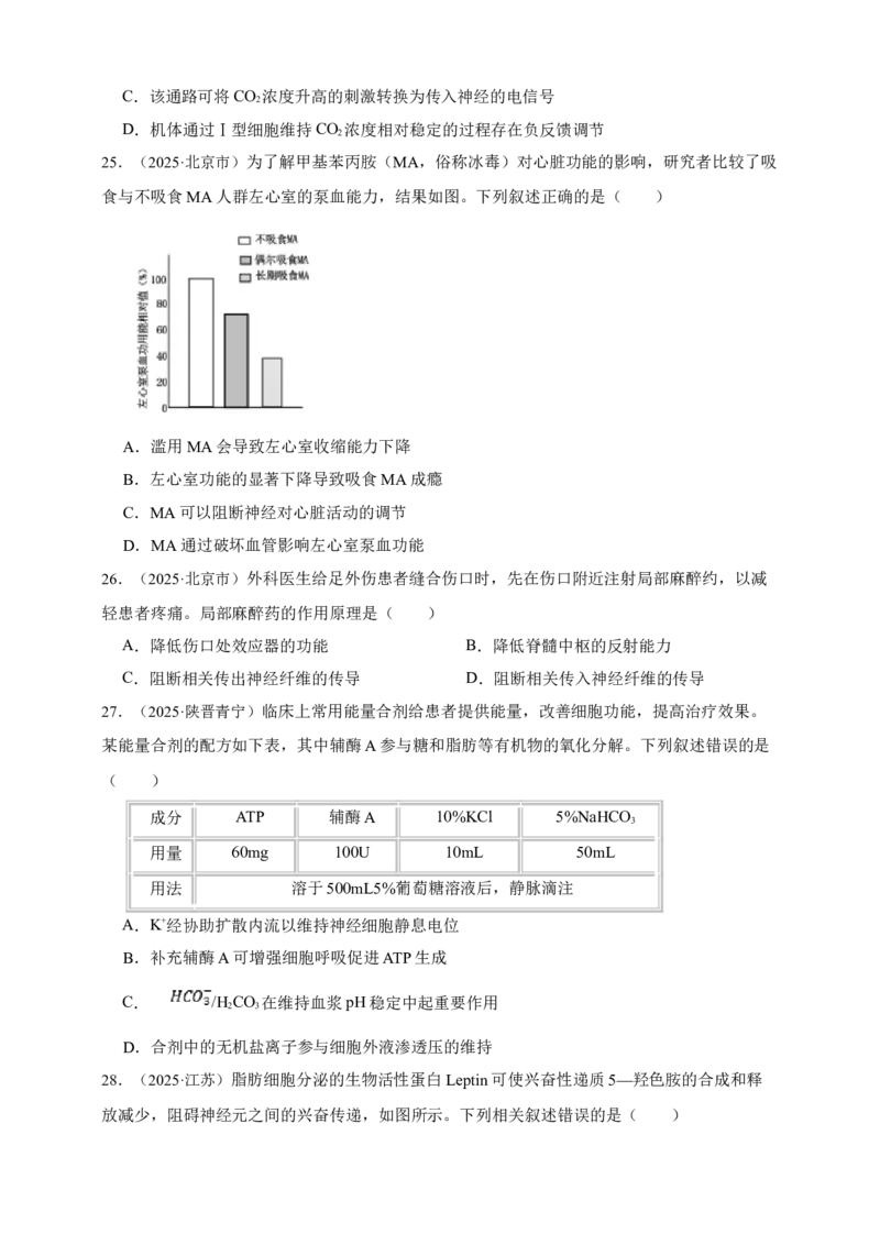 专题16神经调节_生物真题汇总_&radic;近三年（2023-2025）高考生物真题分专项精编_真题分专项汇编