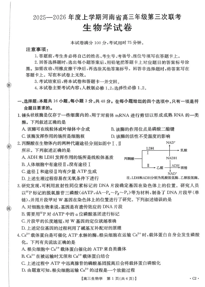 河南省2025&mdash;2026年度上学期高三年级第三次联考生物_260102-新高考Ⅰ卷金太阳&middot;河南省2025&mdash;2026年度上学期高三年级第三次联考（全）