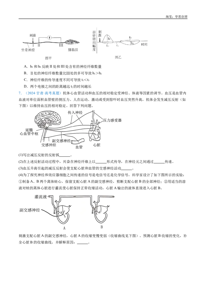 专题17神经调节-好题汇编十年（2015-2024）高考生物真题分类汇编（全国通用）（原卷版）_生物真题汇总_十年（2014-2024）高考生物真题分项汇编（全国通用）