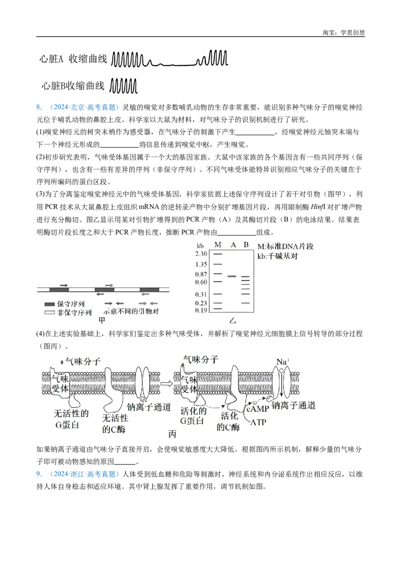 专题17神经调节-好题汇编十年（2015-2024）高考生物真题分类汇编（全国通用）（原卷版）_生物真题汇总_十年（2014-2024）高考生物真题分项汇编（全国通用）