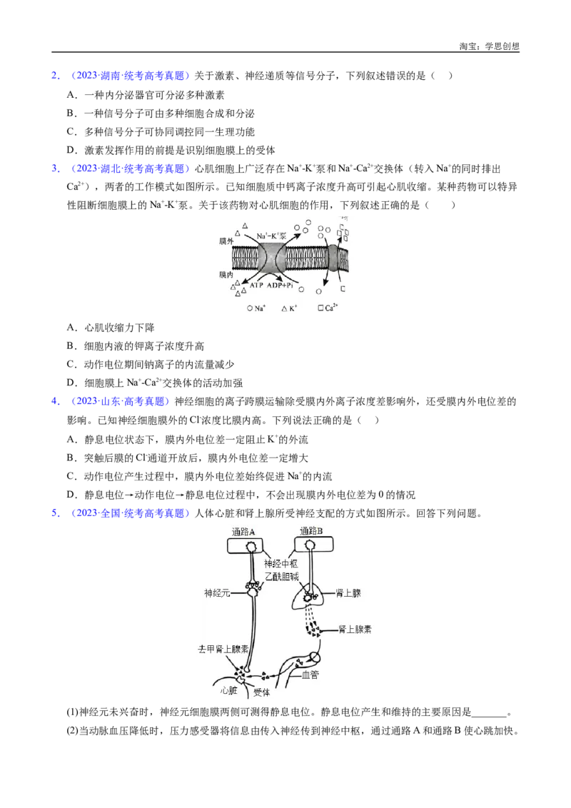 专题17神经调节-好题汇编十年（2015-2024）高考生物真题分类汇编（全国通用）（原卷版）_生物真题汇总_十年（2014-2024）高考生物真题分项汇编（全国通用）