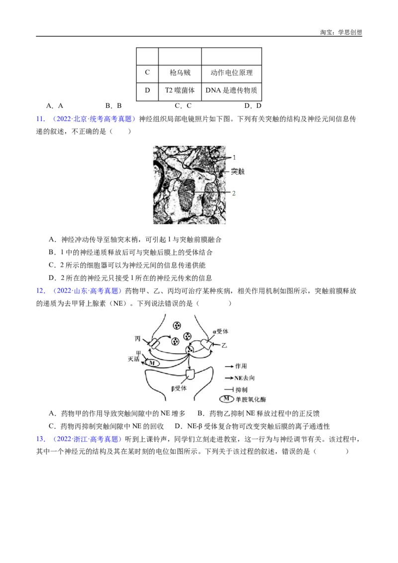 专题17神经调节-好题汇编十年（2015-2024）高考生物真题分类汇编（全国通用）（原卷版）_生物真题汇总_十年（2014-2024）高考生物真题分项汇编（全国通用）