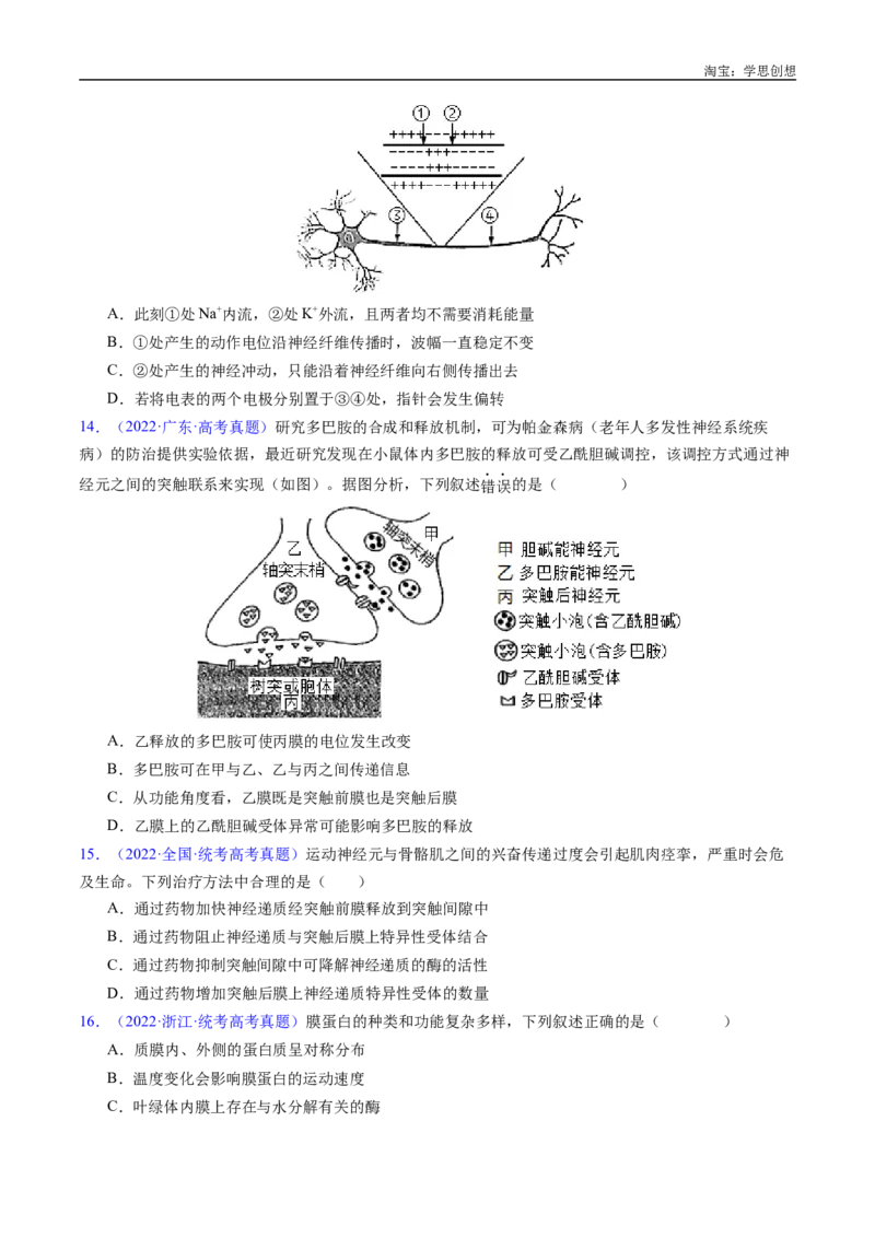 专题17神经调节-好题汇编十年（2015-2024）高考生物真题分类汇编（全国通用）（原卷版）_生物真题汇总_十年（2014-2024）高考生物真题分项汇编（全国通用）