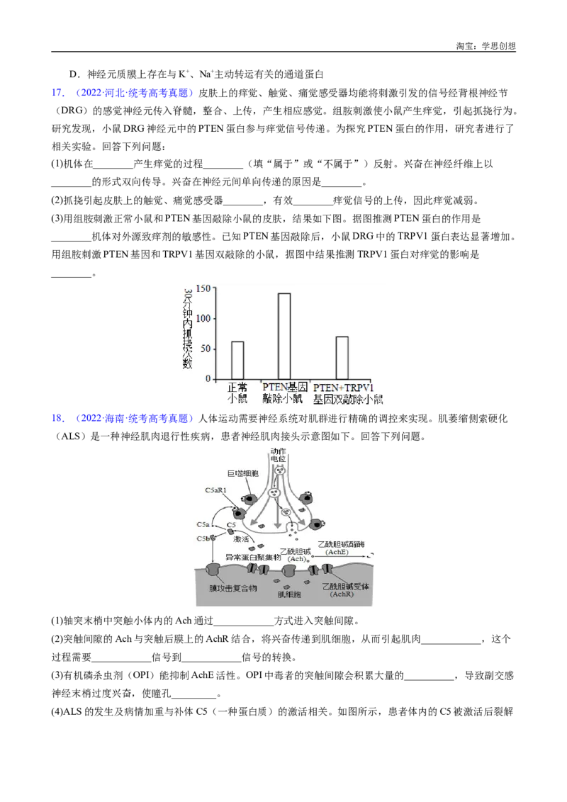 专题17神经调节-好题汇编十年（2015-2024）高考生物真题分类汇编（全国通用）（原卷版）_生物真题汇总_十年（2014-2024）高考生物真题分项汇编（全国通用）