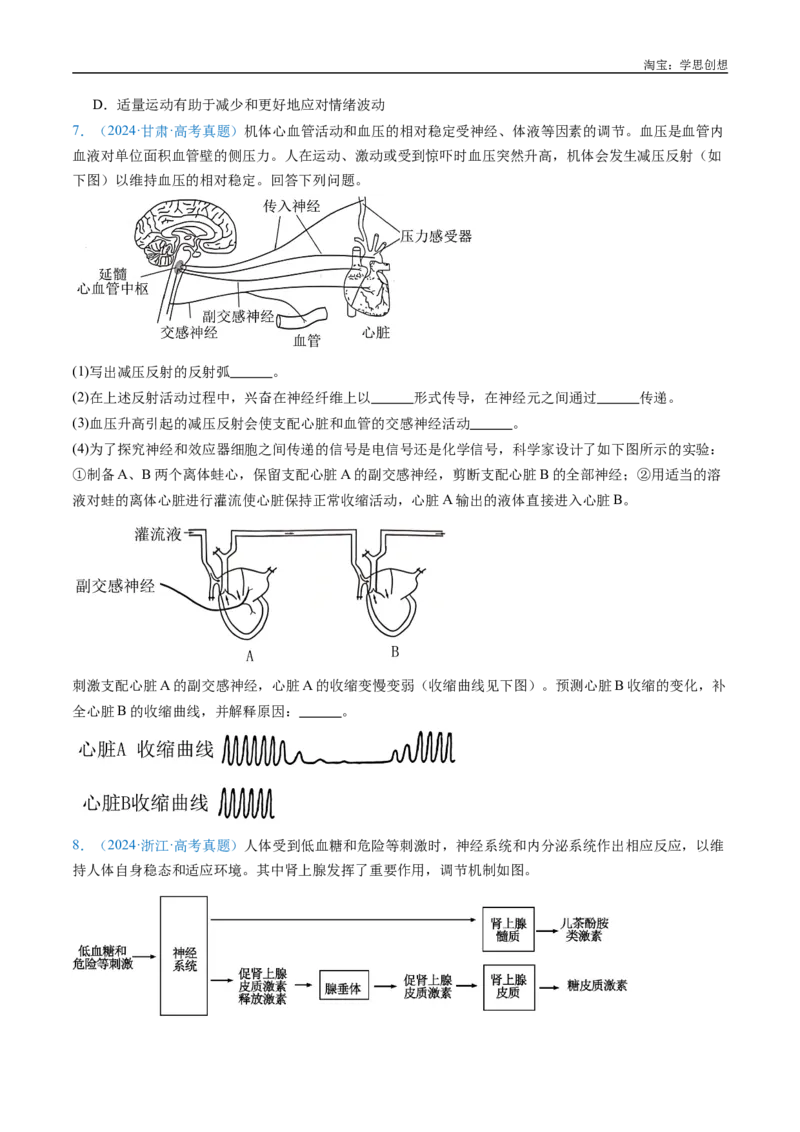 专题17神经调节-好题汇编十年（2015-2024）高考生物真题分类汇编（全国通用）（原卷版）_生物真题汇总_十年（2014-2024）高考生物真题分项汇编（全国通用）