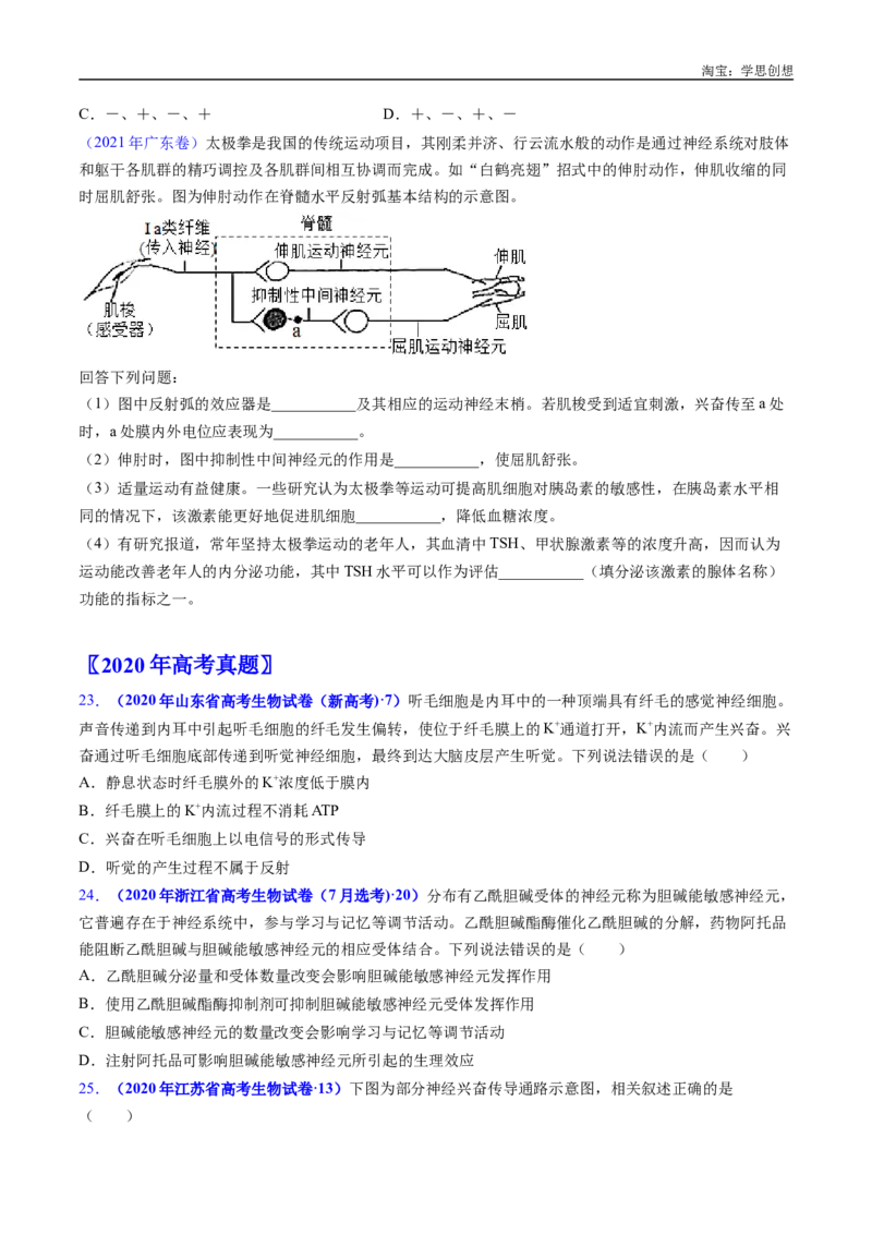 专题17神经调节-好题汇编十年（2015-2024）高考生物真题分类汇编（全国通用）（原卷版）_生物真题汇总_十年（2014-2024）高考生物真题分项汇编（全国通用）