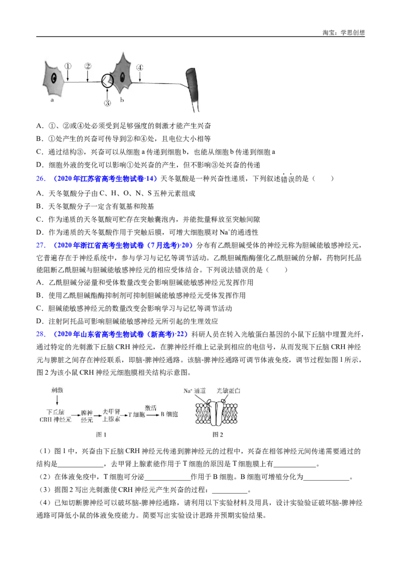 专题17神经调节-好题汇编十年（2015-2024）高考生物真题分类汇编（全国通用）（原卷版）_生物真题汇总_十年（2014-2024）高考生物真题分项汇编（全国通用）