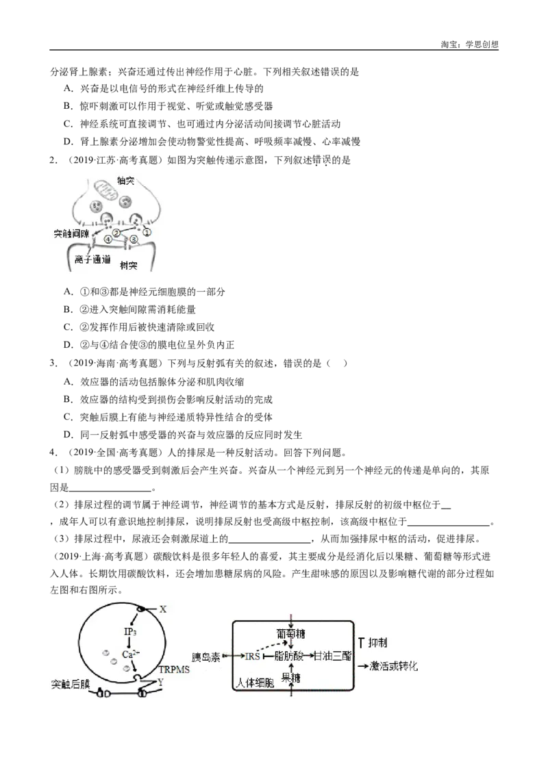 专题17神经调节-好题汇编十年（2015-2024）高考生物真题分类汇编（全国通用）（原卷版）_生物真题汇总_十年（2014-2024）高考生物真题分项汇编（全国通用）