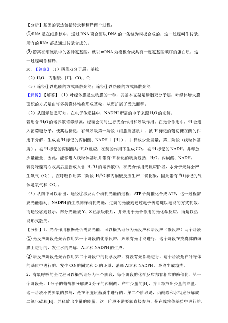 专题02细胞的基本结构（答案解析）_生物真题汇总_&radic;近三年（2023-2025）高考生物真题分专项精编_答案解析
