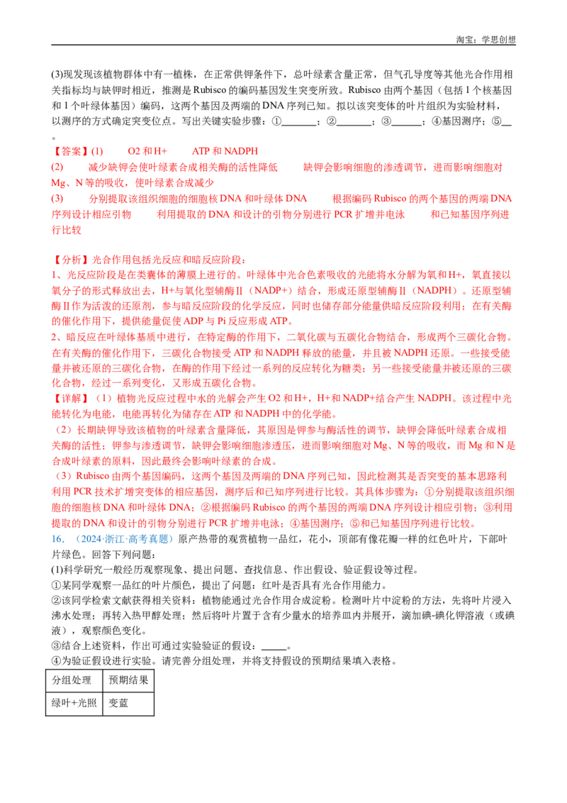 专题06光合作用-好题汇编十年（2015-2024）高考生物真题分类汇编（全国通用）（解析版）_生物真题汇总_十年（2014-2024）高考生物真题分项汇编（全国通用）