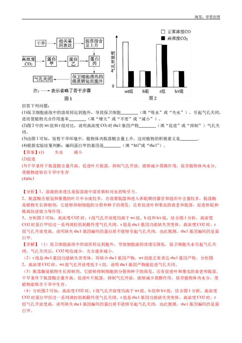 专题06光合作用-好题汇编十年（2015-2024）高考生物真题分类汇编（全国通用）（解析版）_生物真题汇总_十年（2014-2024）高考生物真题分项汇编（全国通用）