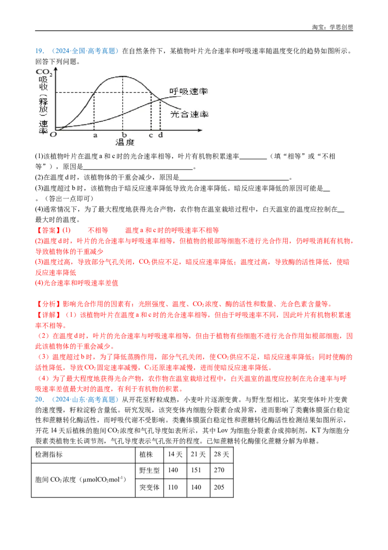 专题06光合作用-好题汇编十年（2015-2024）高考生物真题分类汇编（全国通用）（解析版）_生物真题汇总_十年（2014-2024）高考生物真题分项汇编（全国通用）