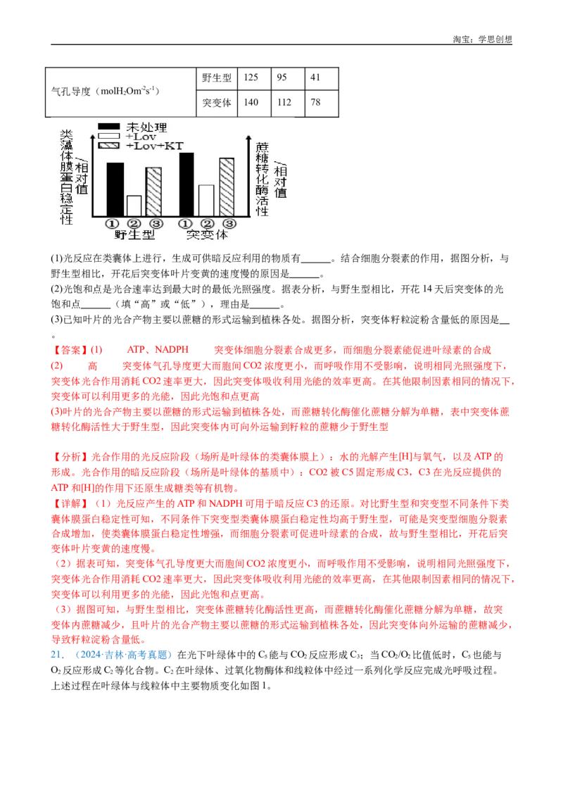专题06光合作用-好题汇编十年（2015-2024）高考生物真题分类汇编（全国通用）（解析版）_生物真题汇总_十年（2014-2024）高考生物真题分项汇编（全国通用）
