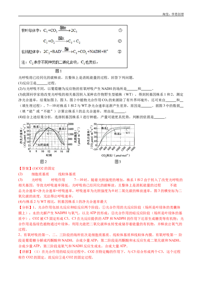 专题06光合作用-好题汇编十年（2015-2024）高考生物真题分类汇编（全国通用）（解析版）_生物真题汇总_十年（2014-2024）高考生物真题分项汇编（全国通用）