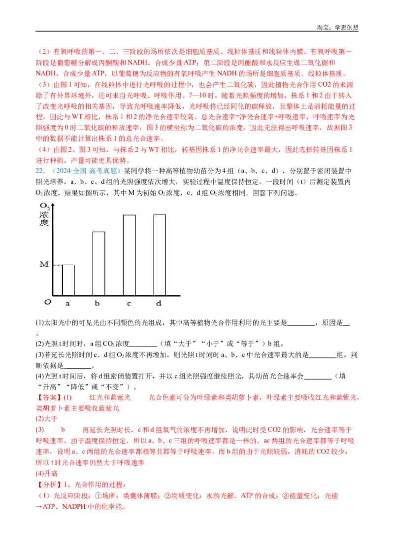 专题06光合作用-好题汇编十年（2015-2024）高考生物真题分类汇编（全国通用）（解析版）_生物真题汇总_十年（2014-2024）高考生物真题分项汇编（全国通用）