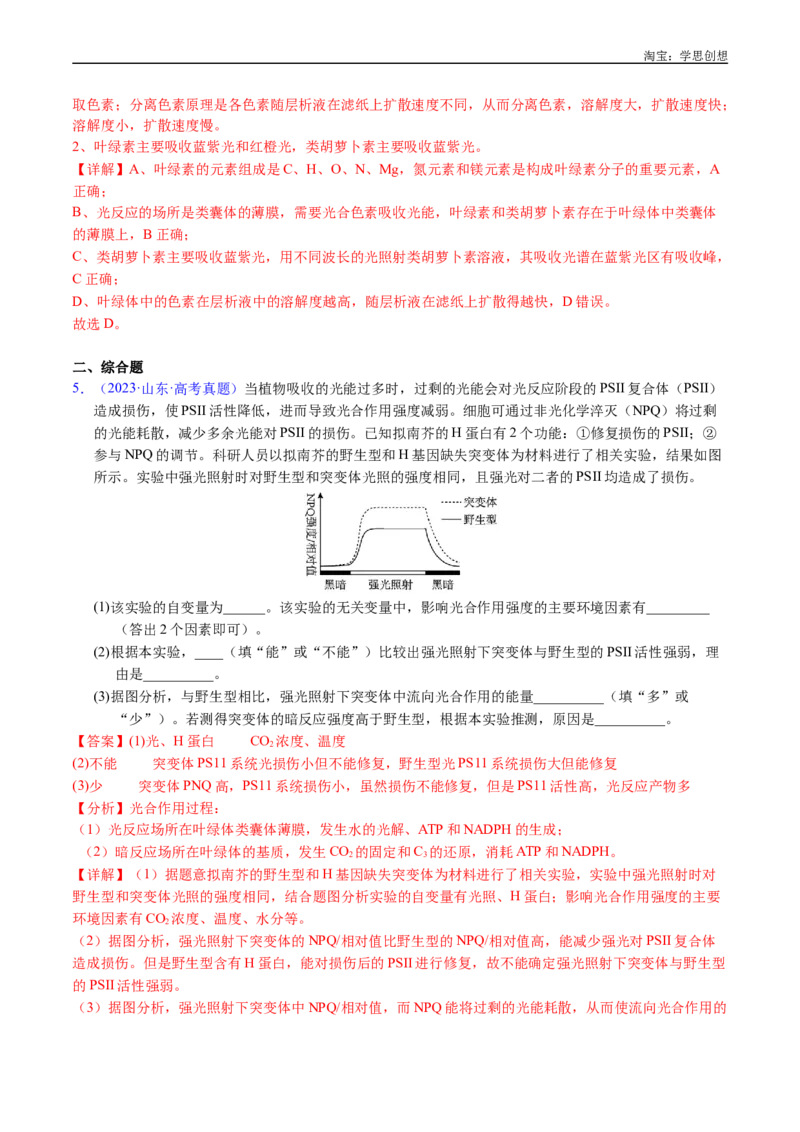 专题06光合作用-好题汇编十年（2015-2024）高考生物真题分类汇编（全国通用）（解析版）_生物真题汇总_十年（2014-2024）高考生物真题分项汇编（全国通用）
