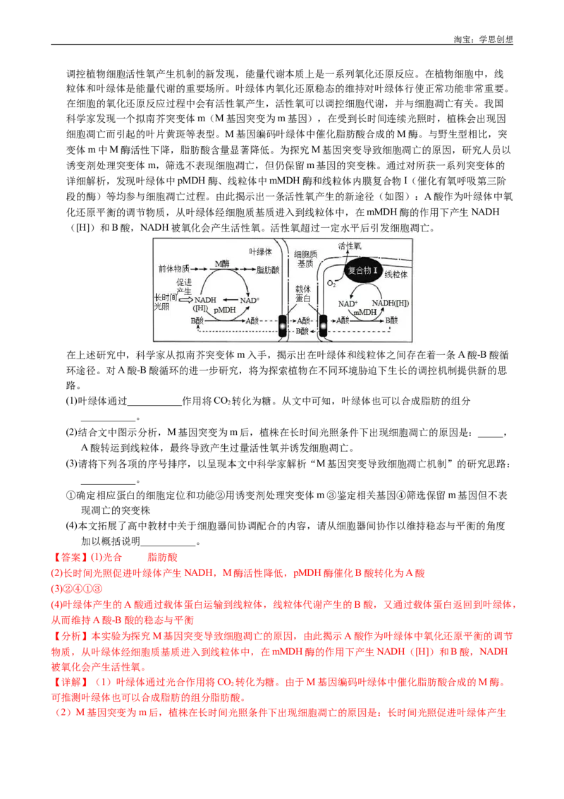 专题06光合作用-好题汇编十年（2015-2024）高考生物真题分类汇编（全国通用）（解析版）_生物真题汇总_十年（2014-2024）高考生物真题分项汇编（全国通用）