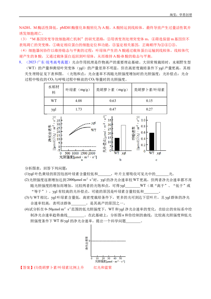 专题06光合作用-好题汇编十年（2015-2024）高考生物真题分类汇编（全国通用）（解析版）_生物真题汇总_十年（2014-2024）高考生物真题分项汇编（全国通用）