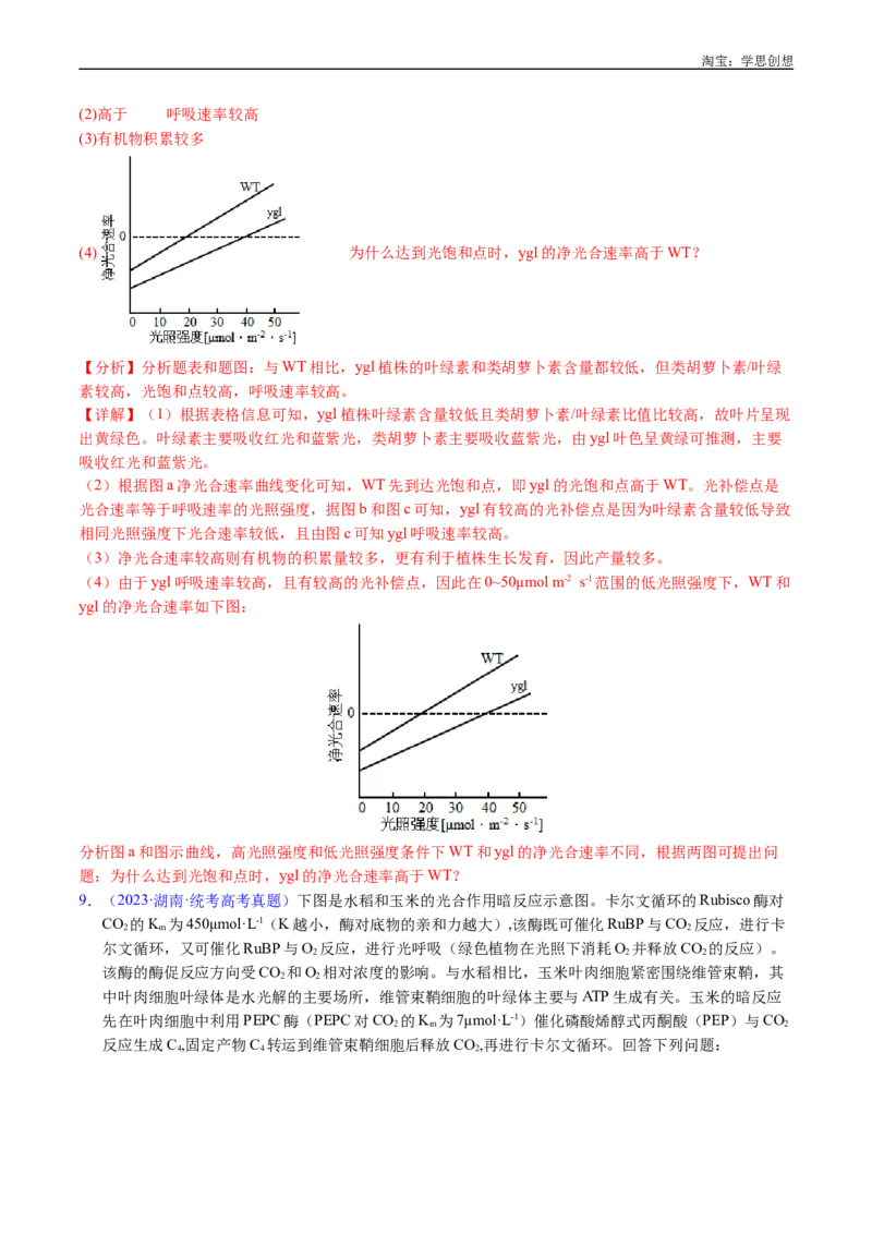 专题06光合作用-好题汇编十年（2015-2024）高考生物真题分类汇编（全国通用）（解析版）_生物真题汇总_十年（2014-2024）高考生物真题分项汇编（全国通用）