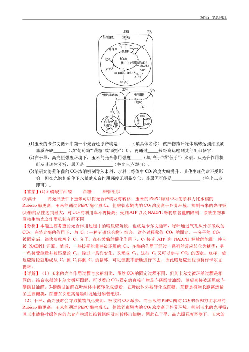 专题06光合作用-好题汇编十年（2015-2024）高考生物真题分类汇编（全国通用）（解析版）_生物真题汇总_十年（2014-2024）高考生物真题分项汇编（全国通用）