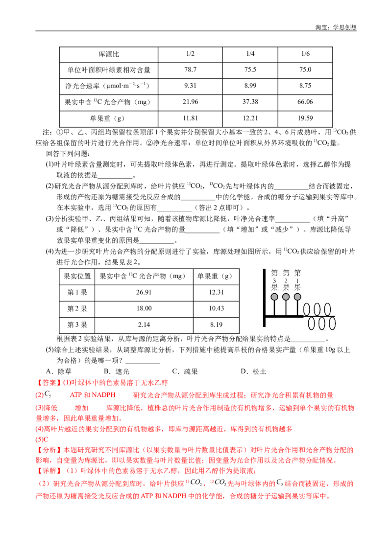 专题06光合作用-好题汇编十年（2015-2024）高考生物真题分类汇编（全国通用）（解析版）_生物真题汇总_十年（2014-2024）高考生物真题分项汇编（全国通用）