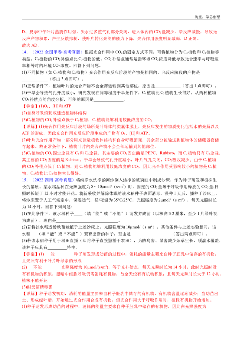 专题06光合作用-好题汇编十年（2015-2024）高考生物真题分类汇编（全国通用）（解析版）_生物真题汇总_十年（2014-2024）高考生物真题分项汇编（全国通用）