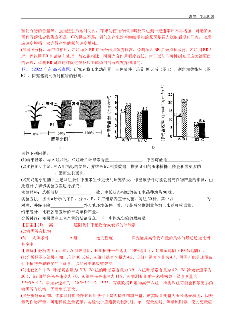 专题06光合作用-好题汇编十年（2015-2024）高考生物真题分类汇编（全国通用）（解析版）_生物真题汇总_十年（2014-2024）高考生物真题分项汇编（全国通用）
