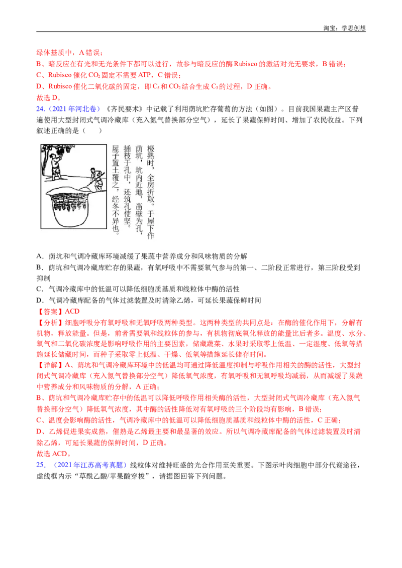 专题06光合作用-好题汇编十年（2015-2024）高考生物真题分类汇编（全国通用）（解析版）_生物真题汇总_十年（2014-2024）高考生物真题分项汇编（全国通用）