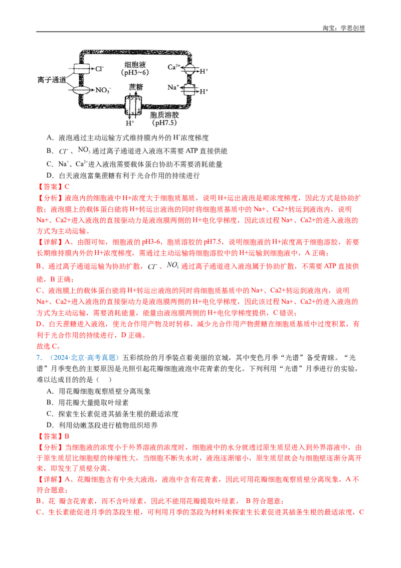 专题06光合作用-好题汇编十年（2015-2024）高考生物真题分类汇编（全国通用）（解析版）_生物真题汇总_十年（2014-2024）高考生物真题分项汇编（全国通用）