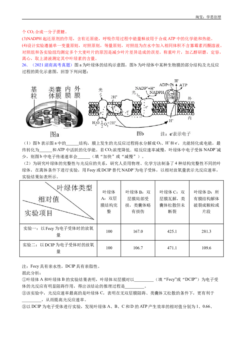 专题06光合作用-好题汇编十年（2015-2024）高考生物真题分类汇编（全国通用）（解析版）_生物真题汇总_十年（2014-2024）高考生物真题分项汇编（全国通用）