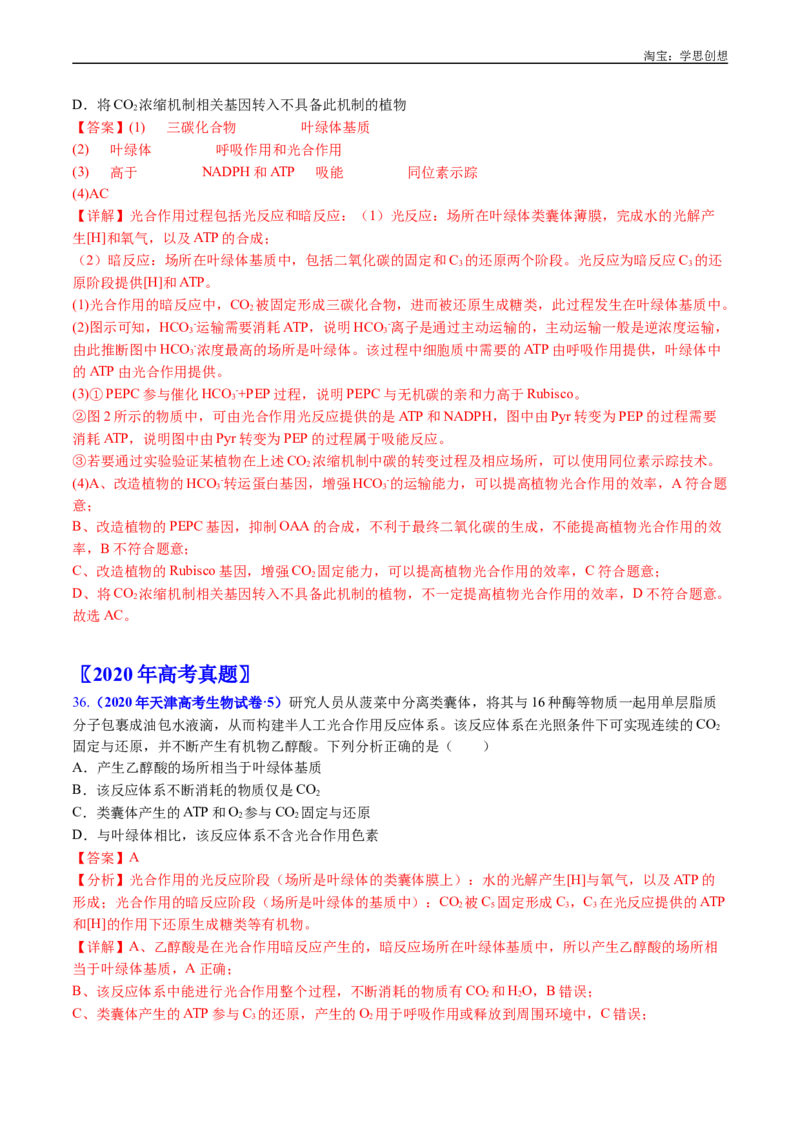 专题06光合作用-好题汇编十年（2015-2024）高考生物真题分类汇编（全国通用）（解析版）_生物真题汇总_十年（2014-2024）高考生物真题分项汇编（全国通用）