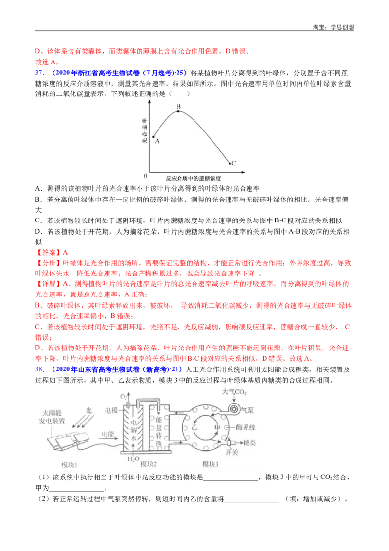 专题06光合作用-好题汇编十年（2015-2024）高考生物真题分类汇编（全国通用）（解析版）_生物真题汇总_十年（2014-2024）高考生物真题分项汇编（全国通用）