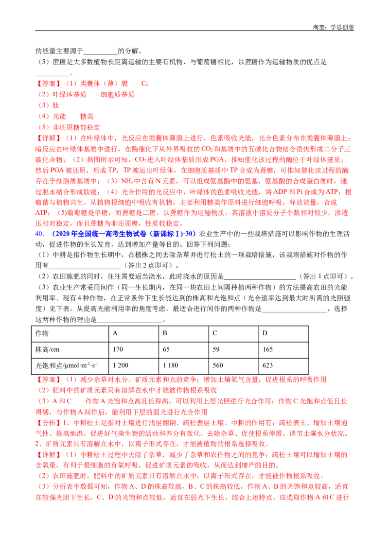 专题06光合作用-好题汇编十年（2015-2024）高考生物真题分类汇编（全国通用）（解析版）_生物真题汇总_十年（2014-2024）高考生物真题分项汇编（全国通用）