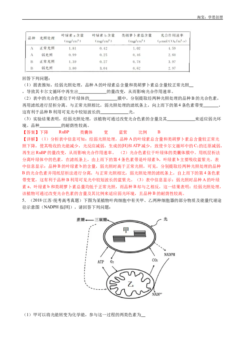 专题06光合作用-好题汇编十年（2015-2024）高考生物真题分类汇编（全国通用）（解析版）_生物真题汇总_十年（2014-2024）高考生物真题分项汇编（全国通用）