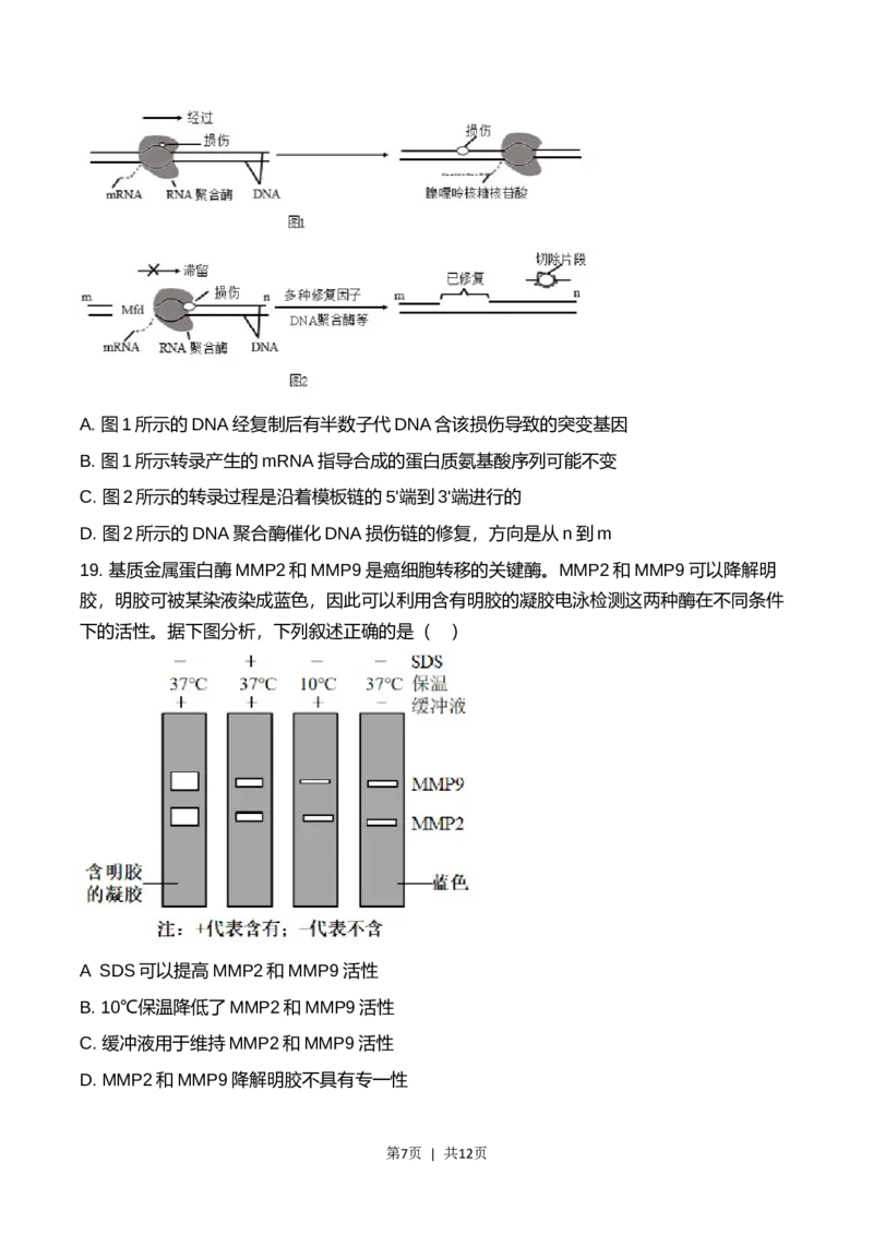 2023年高考生物试卷（辽宁）（空白卷）_生物真题汇总_十年（2014-2024）高考生物真题分项汇编（全国通用）_2008-2024年历年高考生物真题（含解析）_2023&middot;高考生物真题