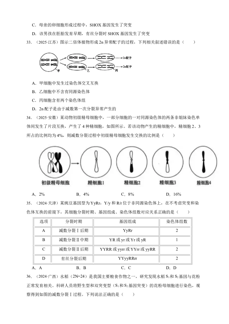 专题07有丝分裂和减数分裂_生物真题汇总_&radic;近三年（2023-2025）高考生物真题分专项精编_真题分专项汇编