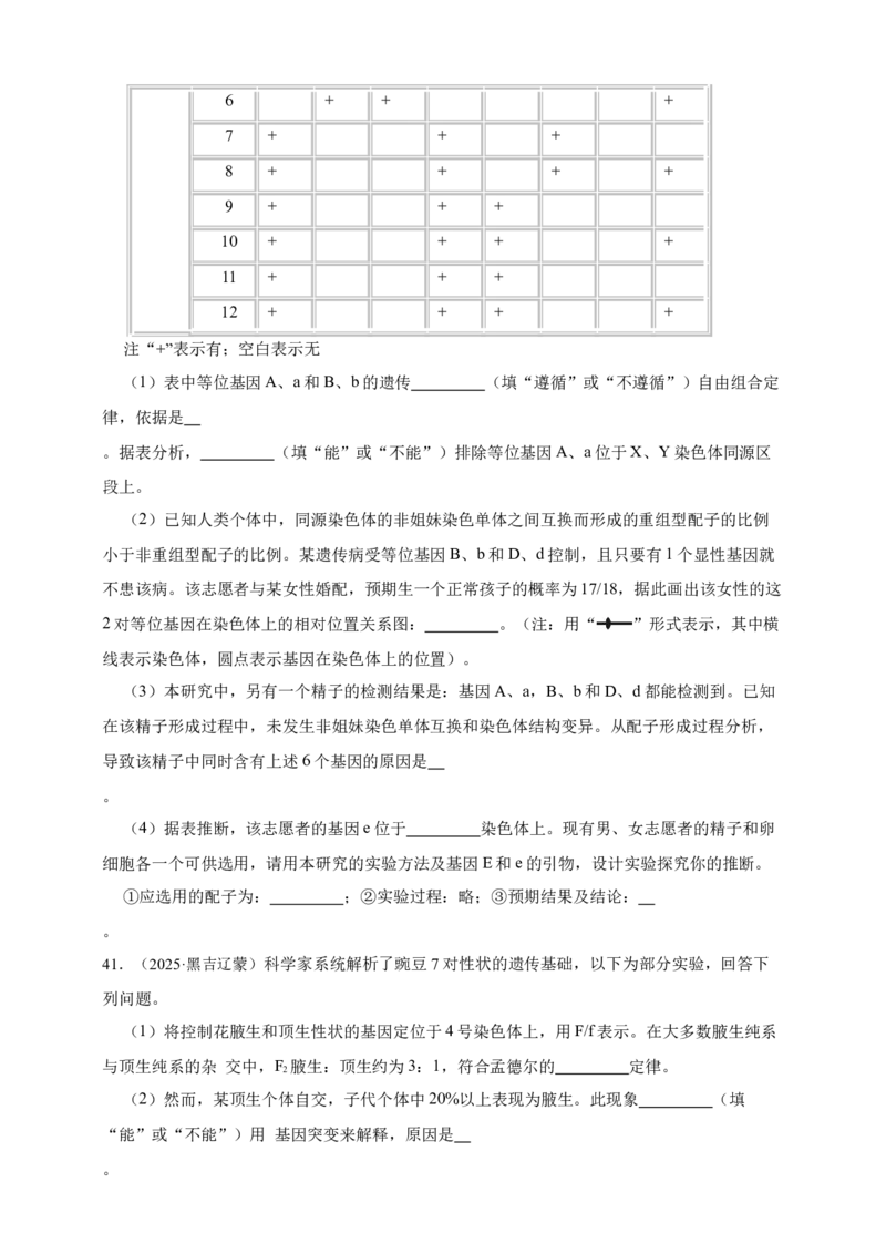 专题07有丝分裂和减数分裂_生物真题汇总_&radic;近三年（2023-2025）高考生物真题分专项精编_真题分专项汇编