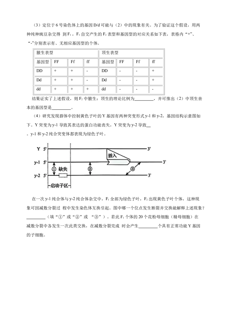 专题07有丝分裂和减数分裂_生物真题汇总_&radic;近三年（2023-2025）高考生物真题分专项精编_真题分专项汇编