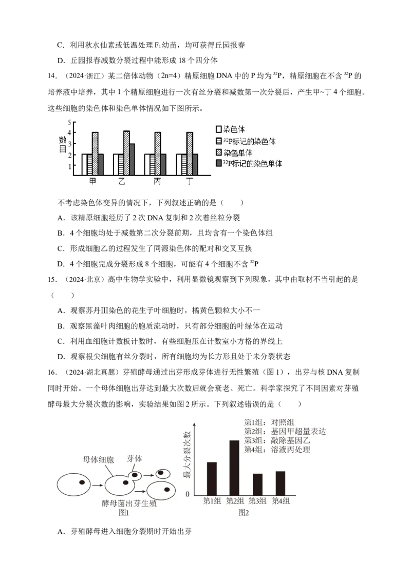 专题07有丝分裂和减数分裂_生物真题汇总_&radic;近三年（2023-2025）高考生物真题分专项精编_真题分专项汇编