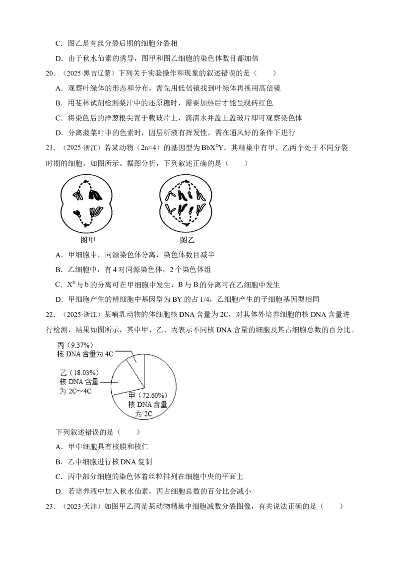 专题07有丝分裂和减数分裂_生物真题汇总_&radic;近三年（2023-2025）高考生物真题分专项精编_真题分专项汇编