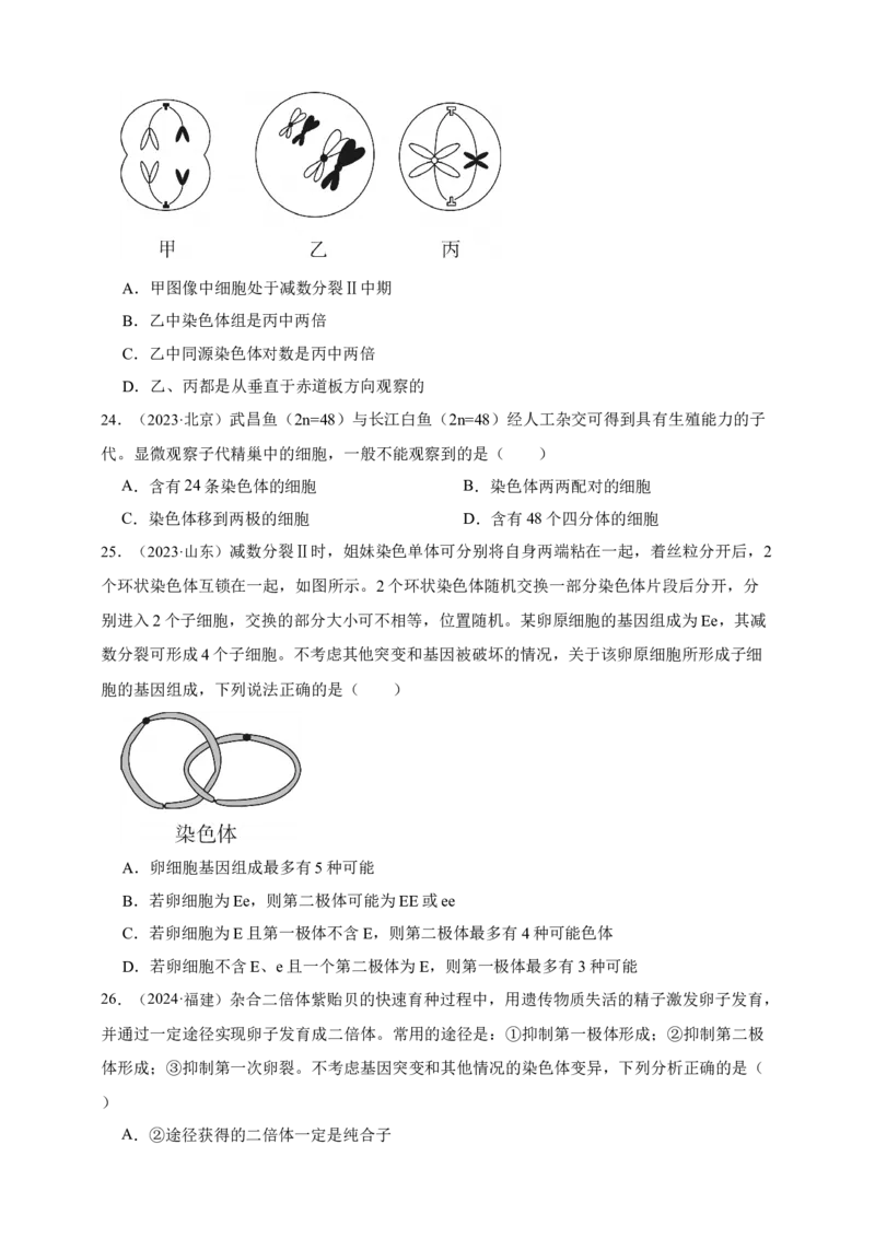 专题07有丝分裂和减数分裂_生物真题汇总_&radic;近三年（2023-2025）高考生物真题分专项精编_真题分专项汇编