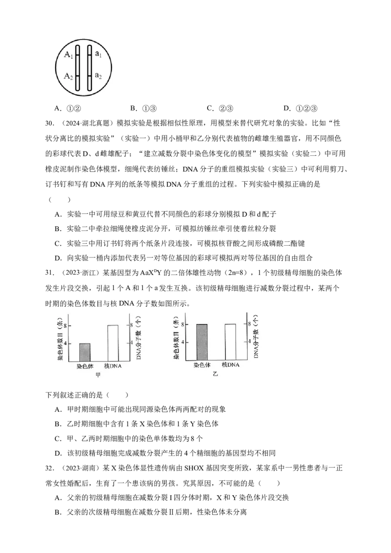 专题07有丝分裂和减数分裂_生物真题汇总_&radic;近三年（2023-2025）高考生物真题分专项精编_真题分专项汇编