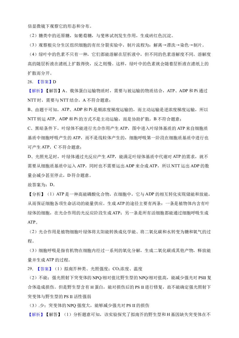 专题06光合作用（答案解析）_生物真题汇总_&radic;近三年（2023-2025）高考生物真题分专项精编_答案解析