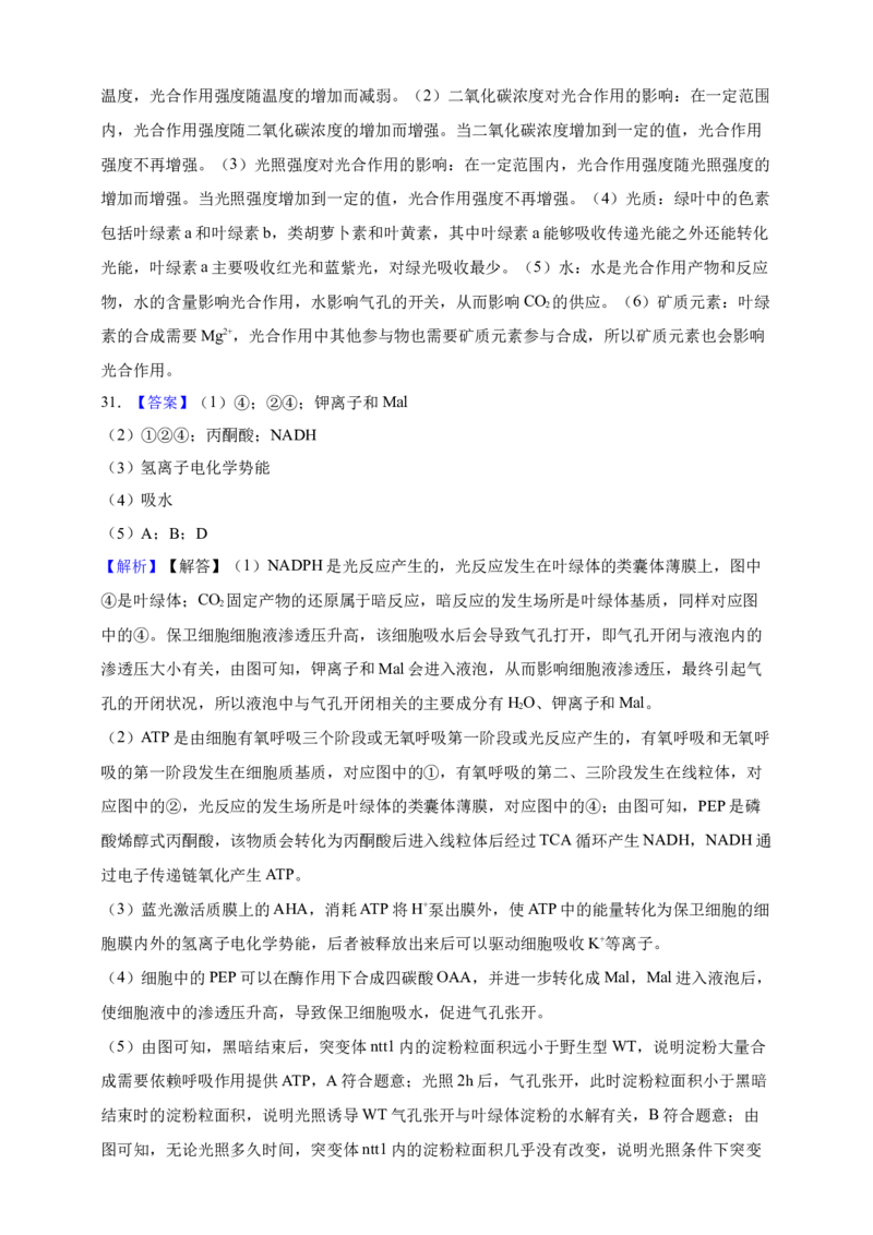 专题06光合作用（答案解析）_生物真题汇总_&radic;近三年（2023-2025）高考生物真题分专项精编_答案解析