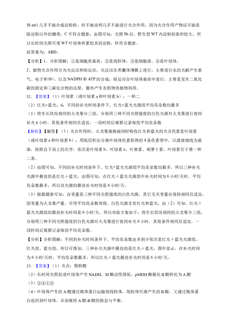 专题06光合作用（答案解析）_生物真题汇总_&radic;近三年（2023-2025）高考生物真题分专项精编_答案解析
