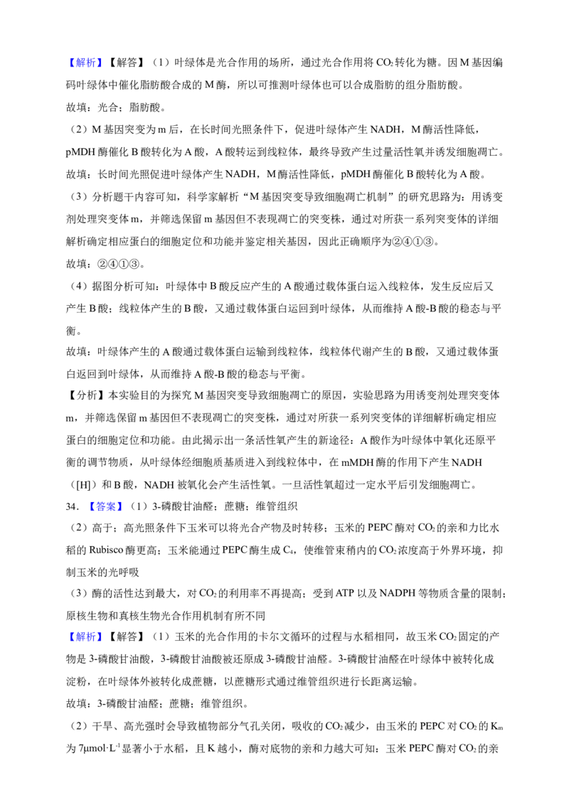 专题06光合作用（答案解析）_生物真题汇总_&radic;近三年（2023-2025）高考生物真题分专项精编_答案解析