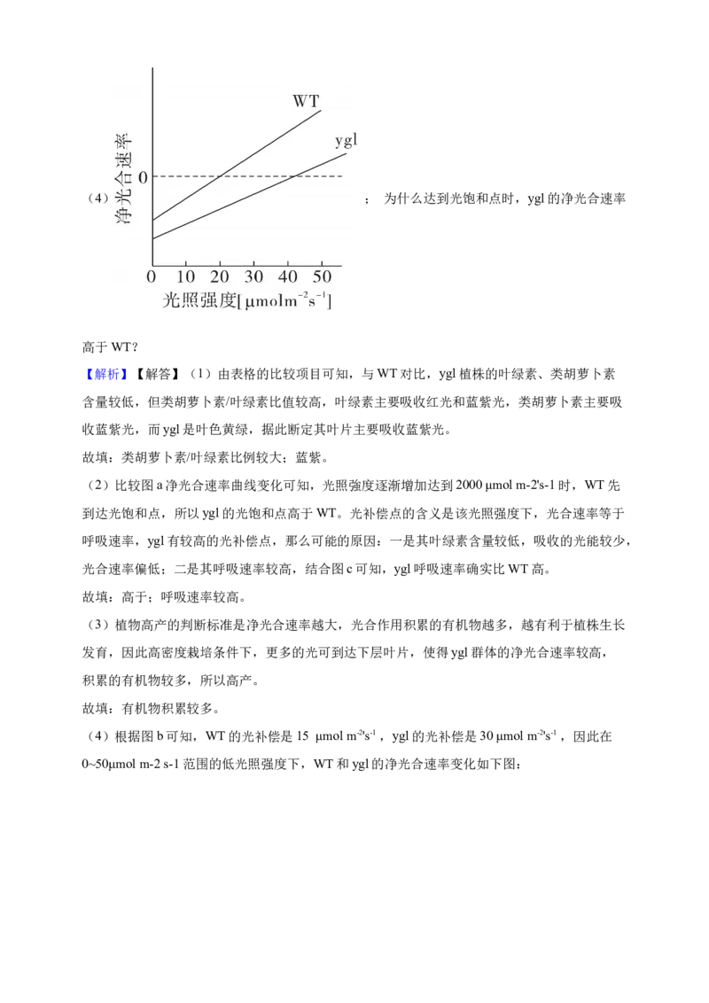 专题06光合作用（答案解析）_生物真题汇总_&radic;近三年（2023-2025）高考生物真题分专项精编_答案解析