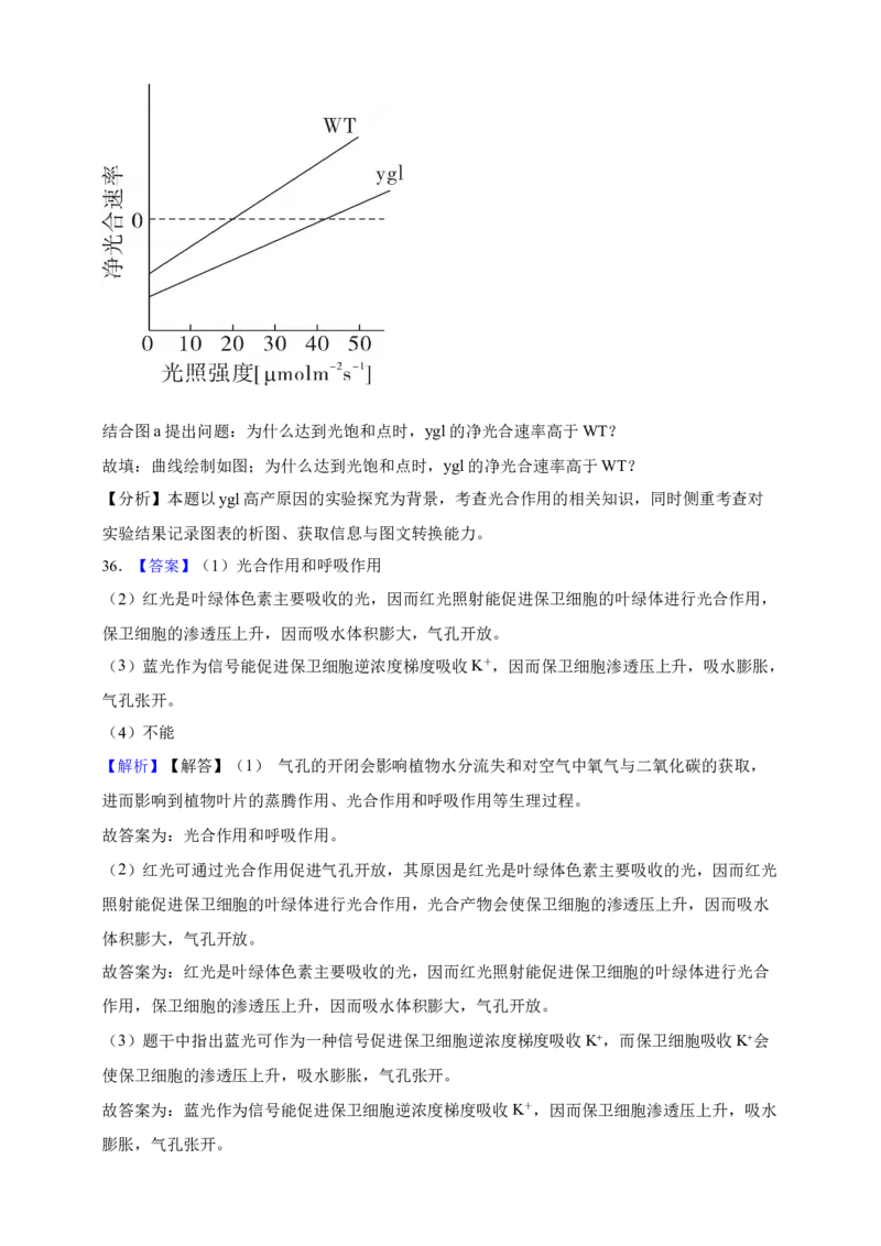 专题06光合作用（答案解析）_生物真题汇总_&radic;近三年（2023-2025）高考生物真题分专项精编_答案解析
