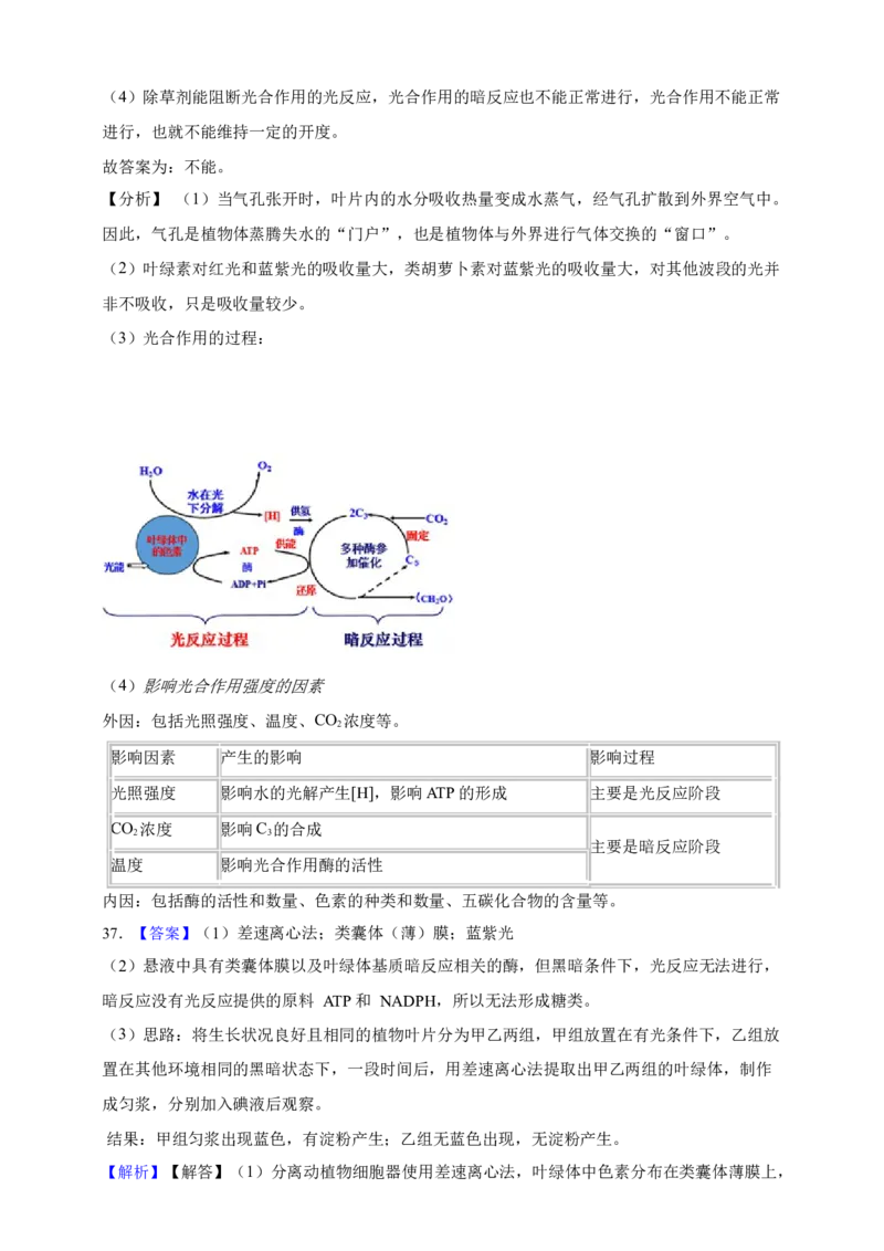 专题06光合作用（答案解析）_生物真题汇总_&radic;近三年（2023-2025）高考生物真题分专项精编_答案解析